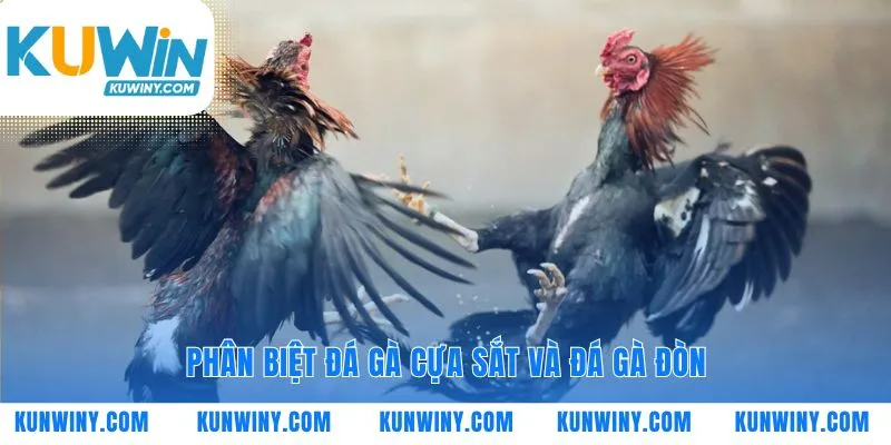 Hai trường phái đối kháng với hai triết lý riêng biệt